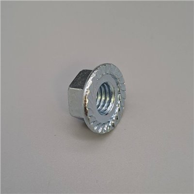  Hex Flange Nuts
